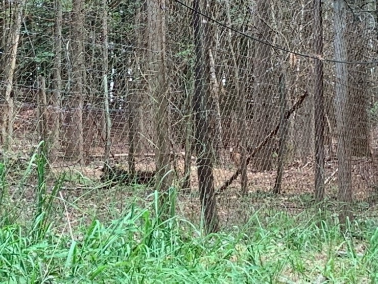 135B931D-997D-4F6B-A176-F8685E5737FA