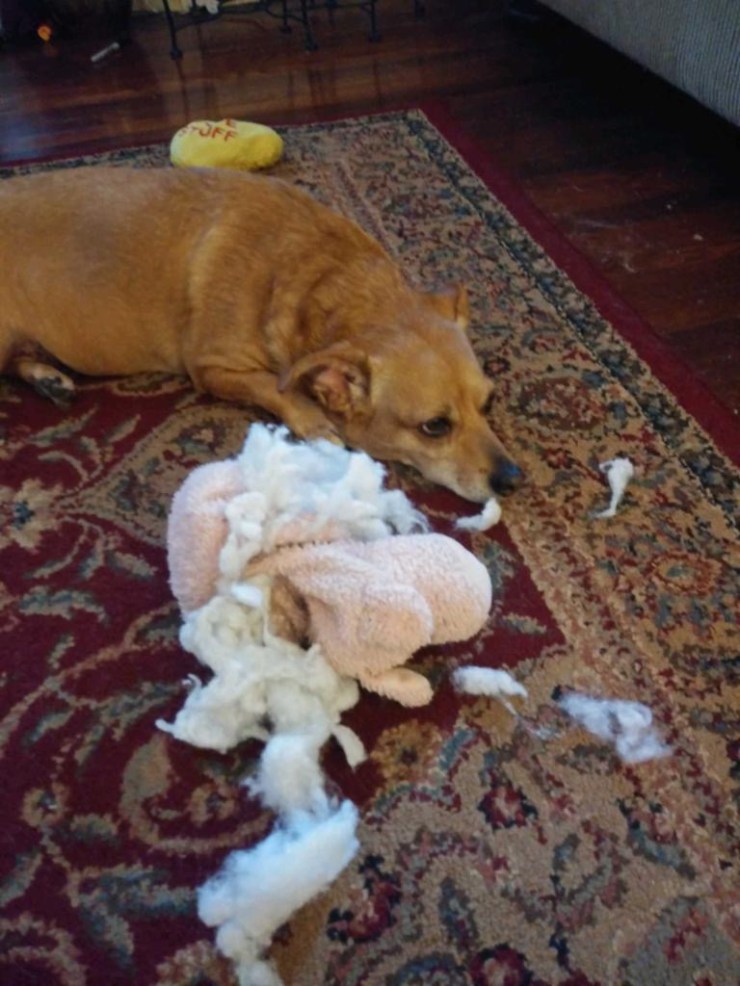 B1868190-58D6-4FF6-8980-26F7184C8D77