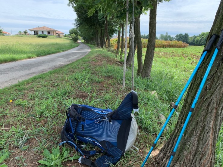 3429C489-24CC-41B2-9BA6-DA1685A36525